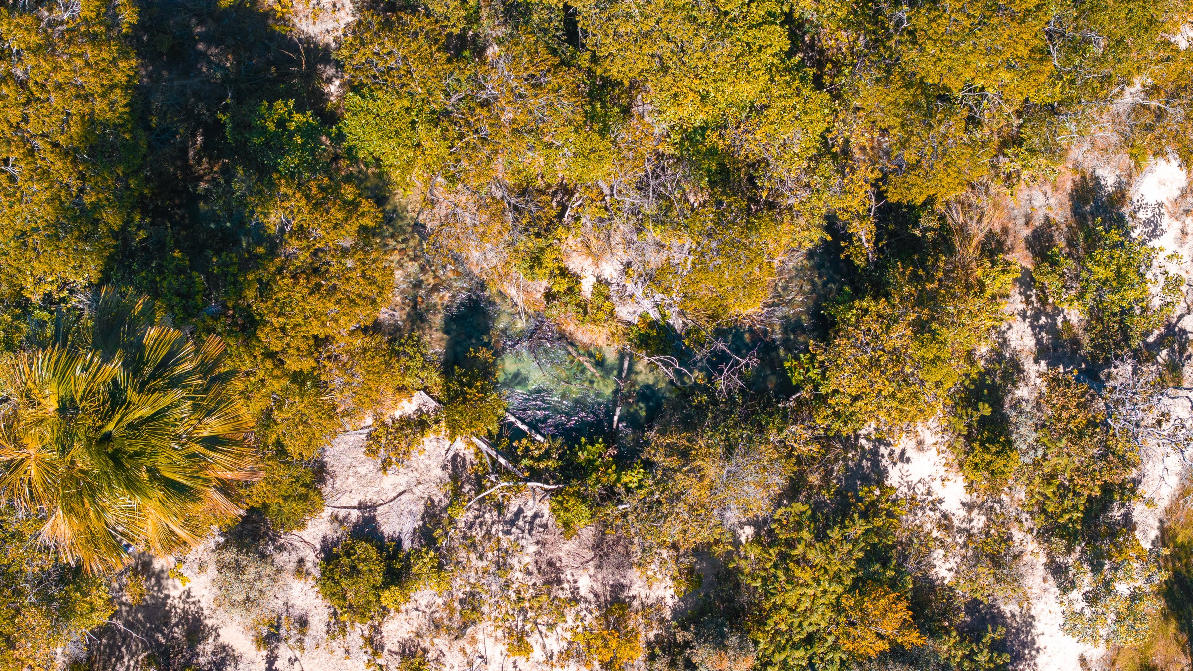 Aerial Cerrado, fine art photograph by Marcello Martins in Tocantins, Brazil